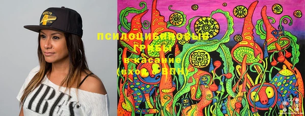 соль курить ск Богданович
