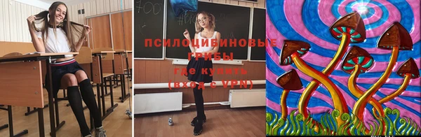 соль курить ск Богданович