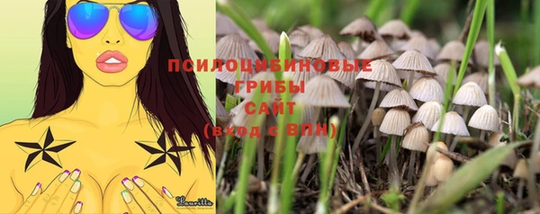 скорость Богородицк