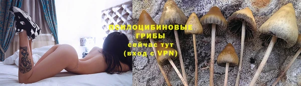 синтетический гашиш Бородино
